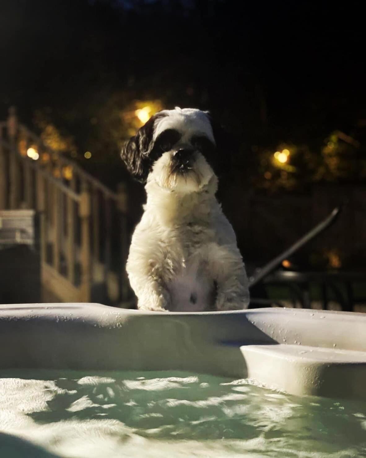 Hazel Cottage テンビー 部屋 写真